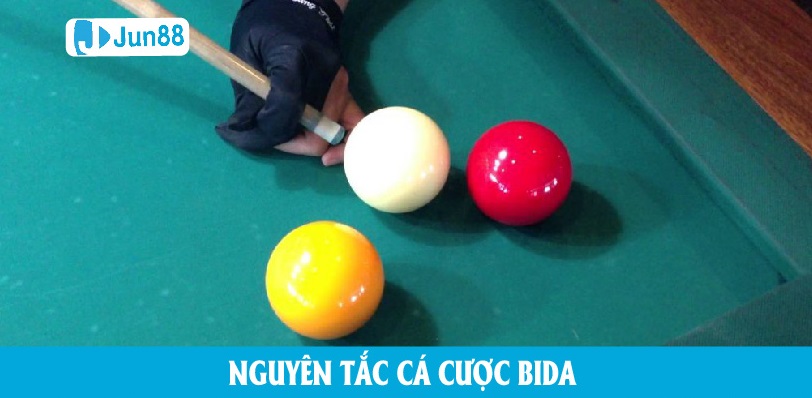 Cá Cược Bida : Cẩm Nang Toàn Diện Cho Người Chơi Mới Luật cá cược bida